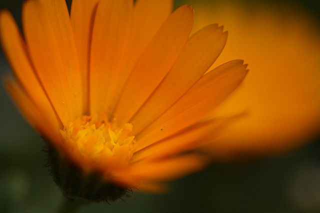 a0242438_9415219.jpg