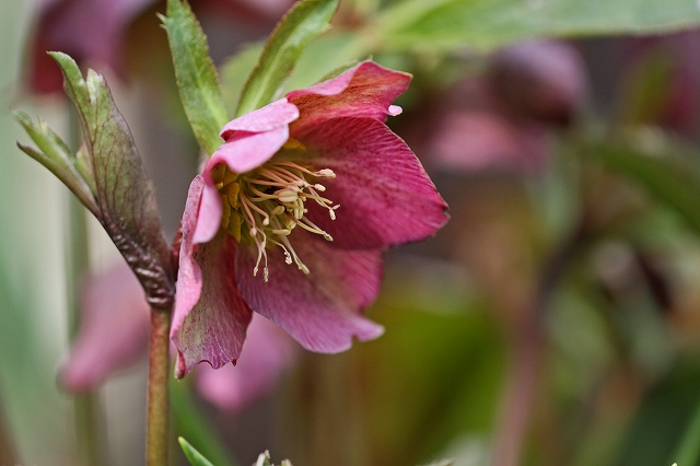 a0242438_9422116.jpg