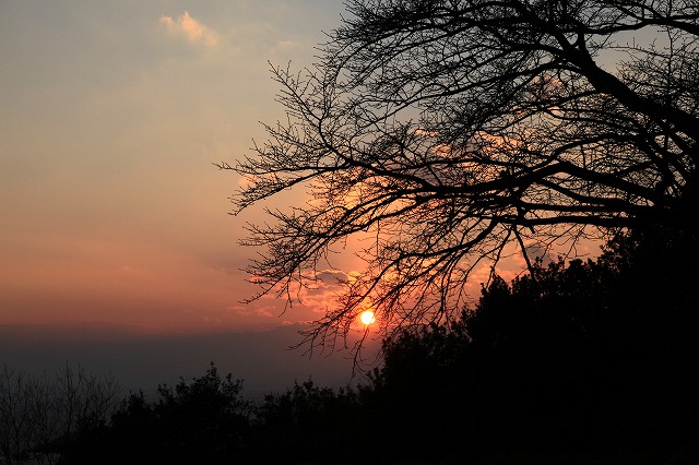 a0242438_9592137.jpg