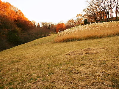 e0022839_0272122.jpg