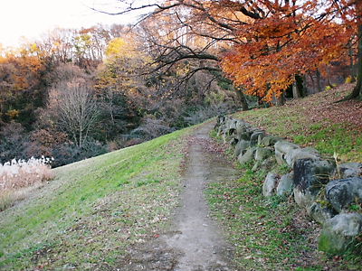 e0022839_028434.jpg