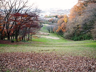 e0022839_0285982.jpg
