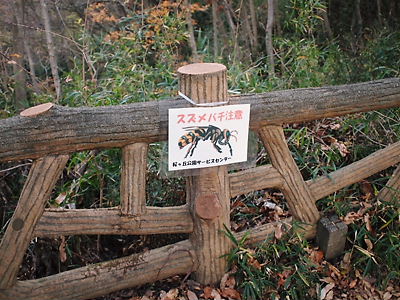 e0022839_0291056.jpg