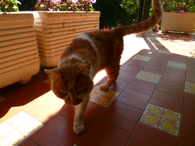 d0170140_5485395.jpg