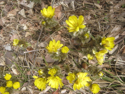 b0126549_11101615.jpg