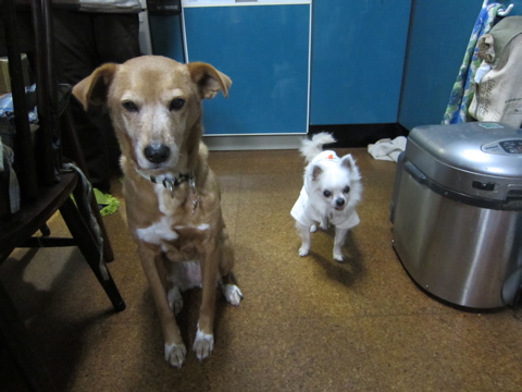 b0072650_023769.jpg