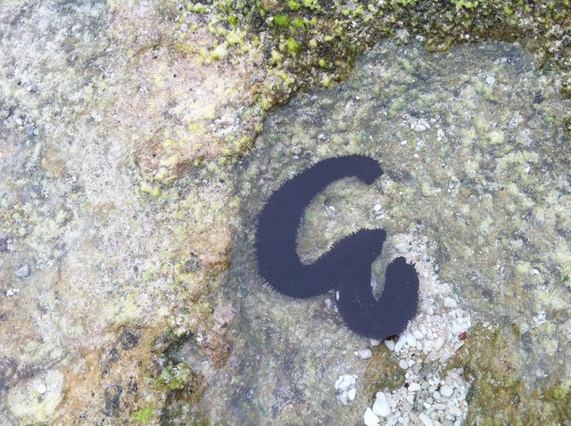 f0214351_13544334.jpg