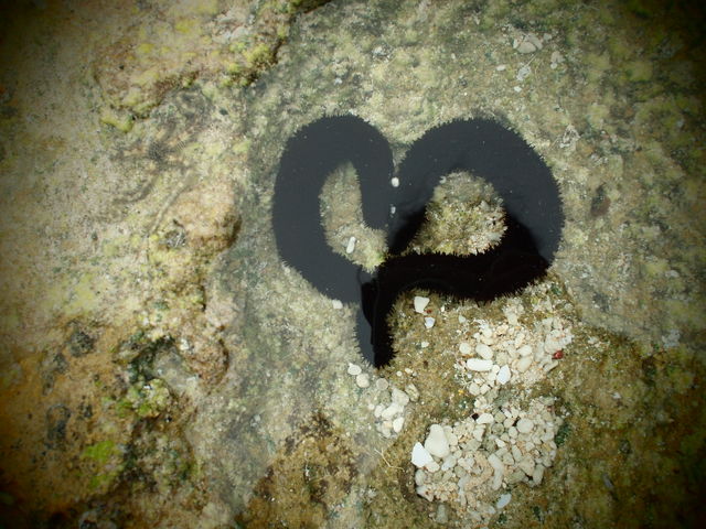 f0214351_13551256.jpg