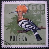 c0136654_20495771.jpg