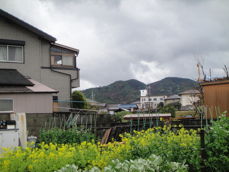 c0108460_13231353.jpg