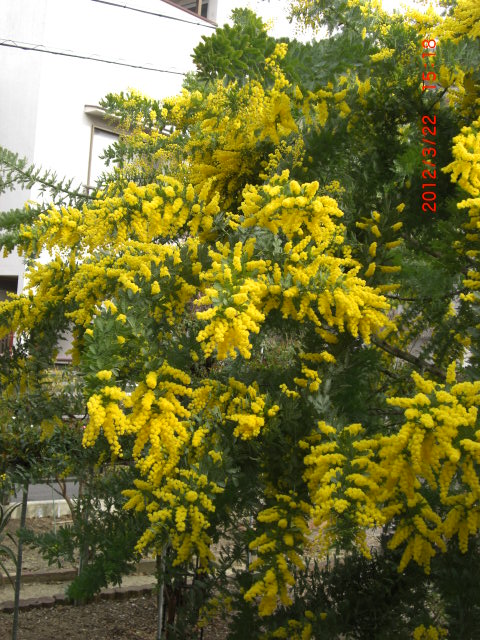 c0126271_12283932.jpg