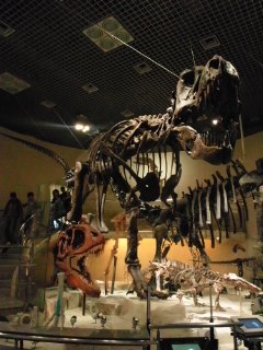 b0190573_22461976.jpg