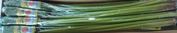 f0137275_417677.jpg