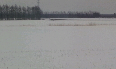 c0232780_6323742.jpg