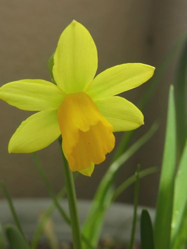 f0014980_9271716.jpg