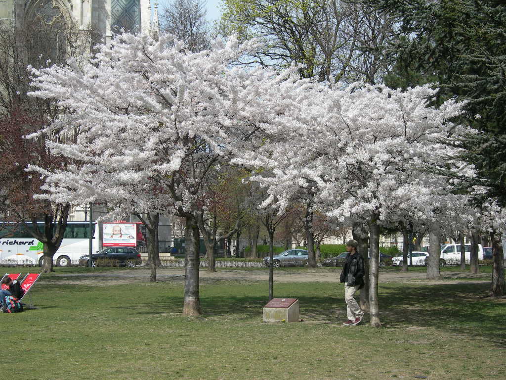 a0080183_6341690.jpg