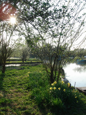 a0247585_20495240.jpg