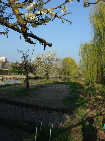 a0247585_20525280.jpg