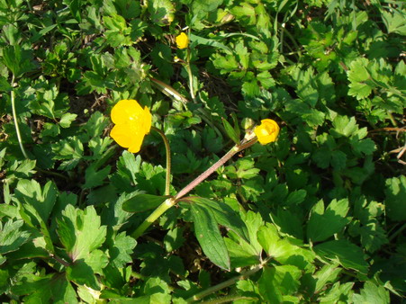 a0247585_20534410.jpg