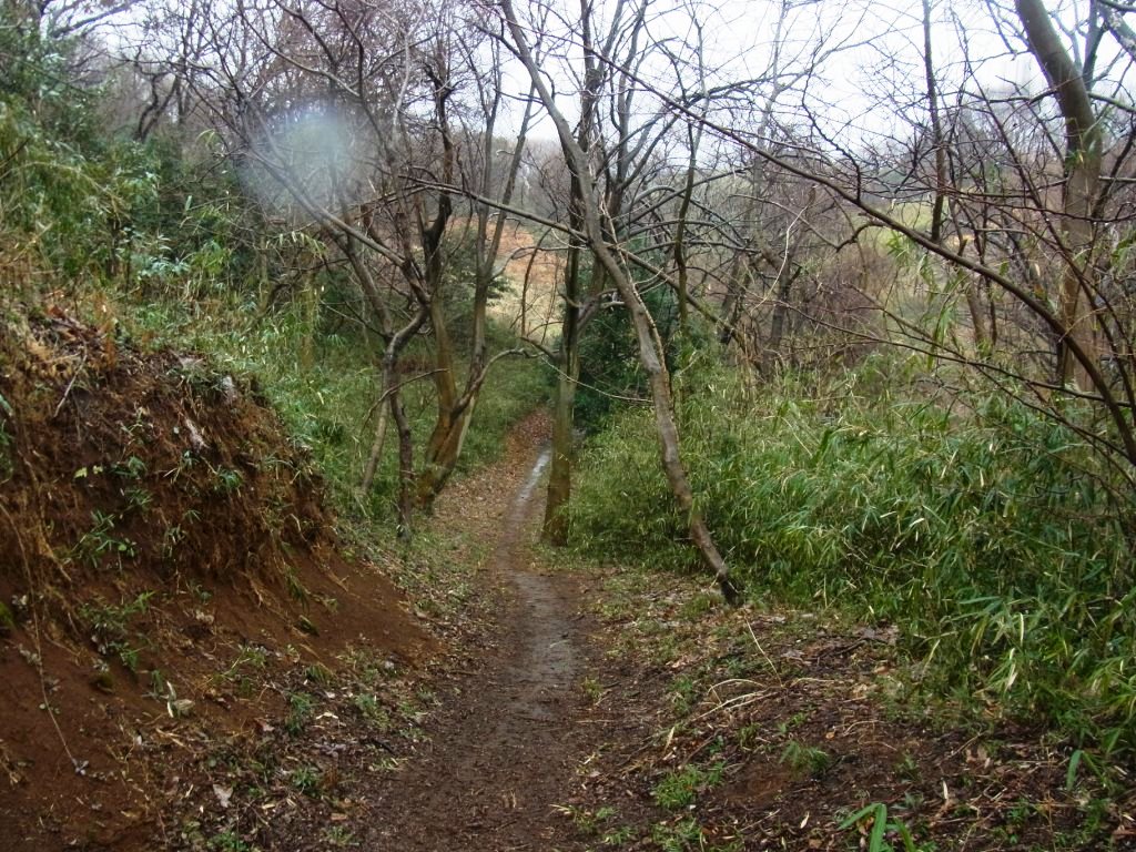 e0107493_17342320.jpg