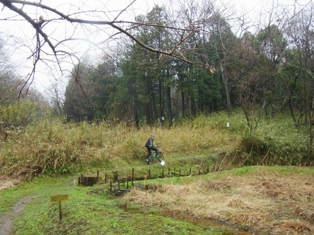 e0107493_17362820.jpg