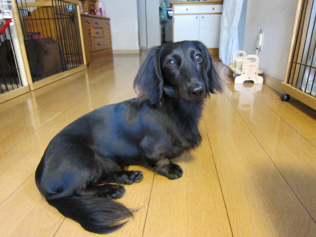 d0098295_025931.jpg