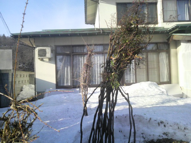 d0129296_10265271.jpg
