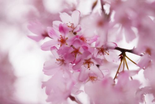f0201297_02128.jpg