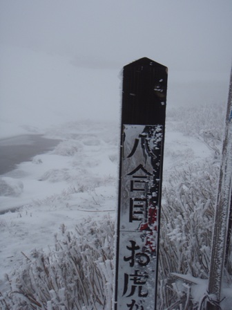 b0039898_15234950.jpg