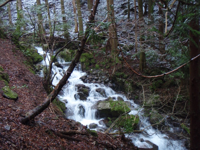 b0039898_15245167.jpg