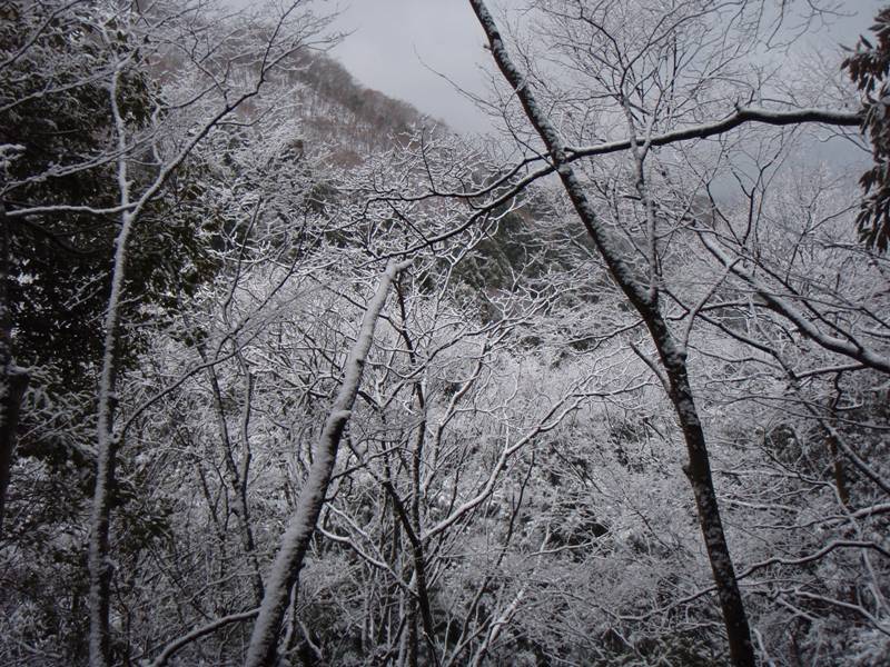 b0039898_152713100.jpg