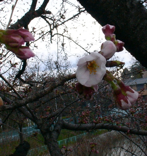 a0031000_221547.jpg