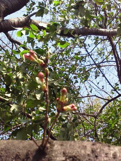 b0160300_22364835.jpg