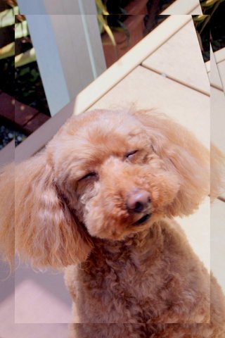 c0156703_18414622.jpg