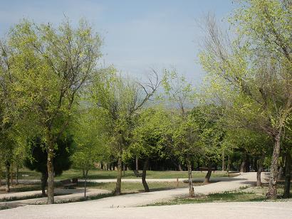e0255908_20433598.jpg