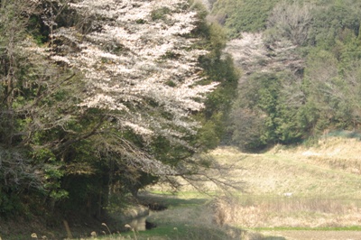 e0163212_145550.jpg