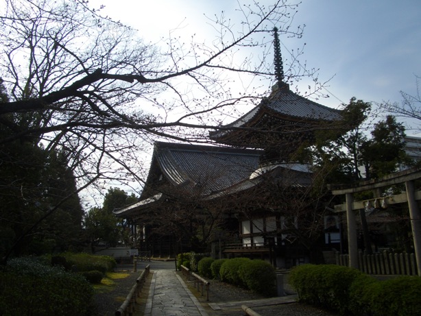 e0033713_1656974.jpg