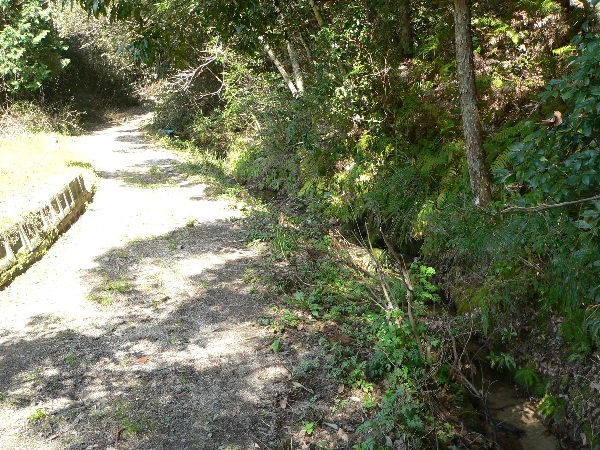e0002314_21543418.jpg