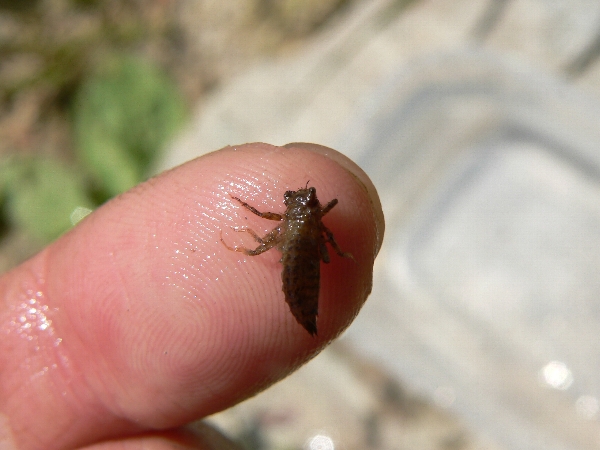 e0002314_21544954.jpg