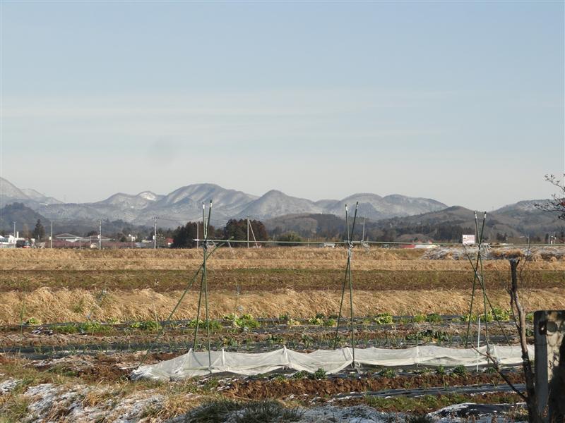 a0127015_20564586.jpg