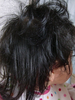 b0073616_1730115.jpg