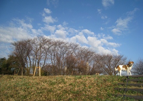 c0084117_2151631.jpg