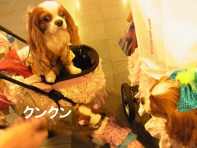 f0214121_23282013.jpg