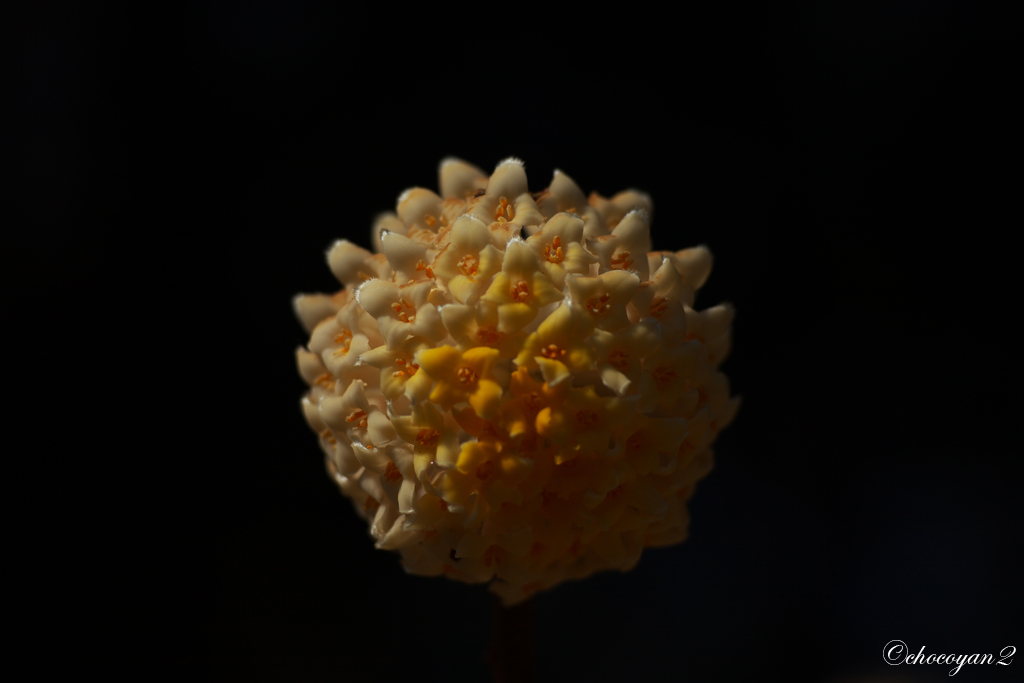 d0161322_21121475.jpg