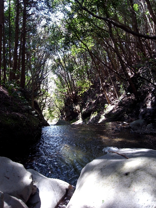 f0103126_22313425.jpg