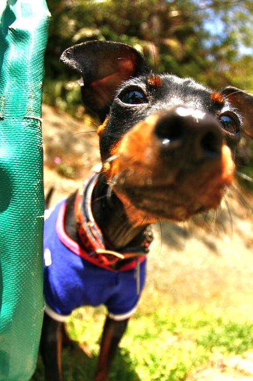 d0158028_20165170.jpg
