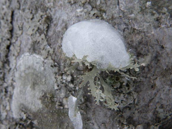 f0118332_23592962.jpg