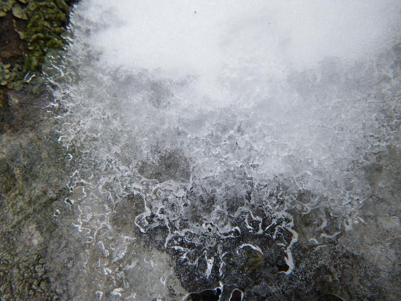 f0118332_23594547.jpg