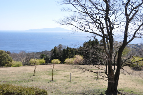 e0244833_20491175.jpg