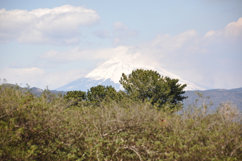e0244833_2053194.jpg